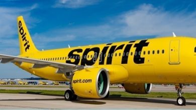 Photo of How Can I Connect To Spirit Airlines By Phone Or Email?