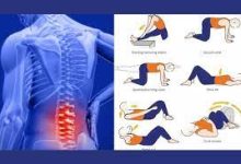 best-lower-back-pain-exercises.jpg