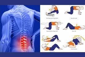 best-lower-back-pain-exercises.jpg