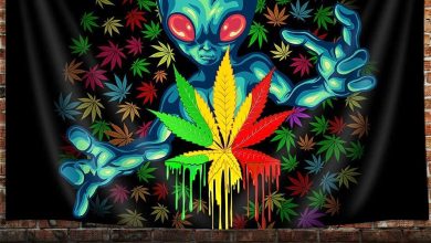 Photo of 5 Beautiful Tapestry Designs That You Can Use as Weed Decor