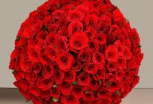 Photo of How To Order Flower Delivery In Kolkata Within A Few Mouse Clicks?
