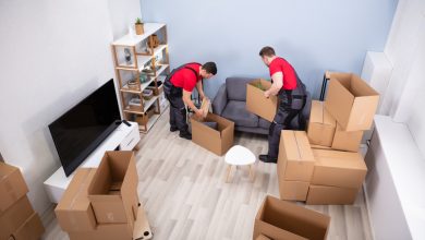Photo of What are the Benefits of Hiring a Professional Removalists Company
