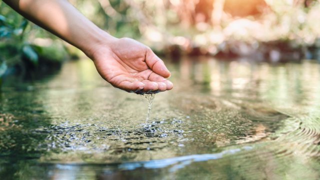Photo of The Ripple Effect: How Water Affects Our Health